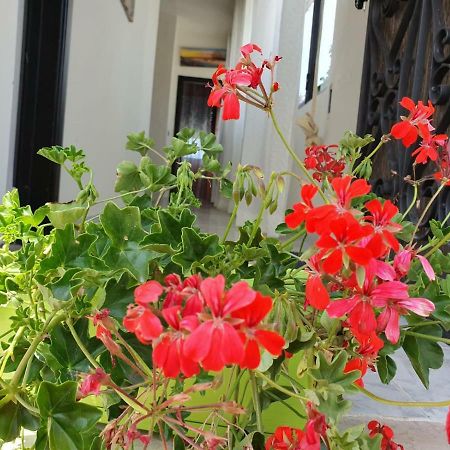 カンポマリーノ Il Casale Di Zi'Leo Bed & Breakfast エクステリア 写真