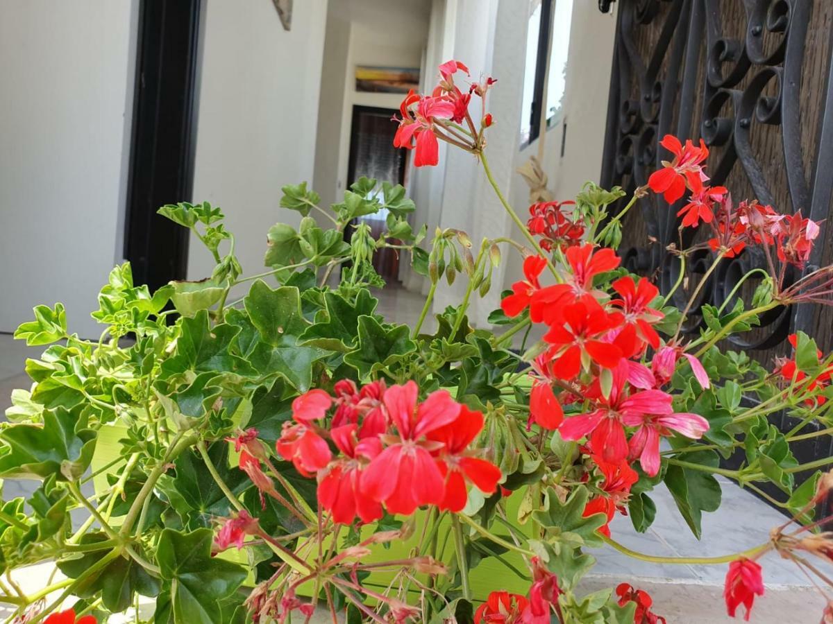 カンポマリーノ Il Casale Di Zi'Leo Bed & Breakfast エクステリア 写真