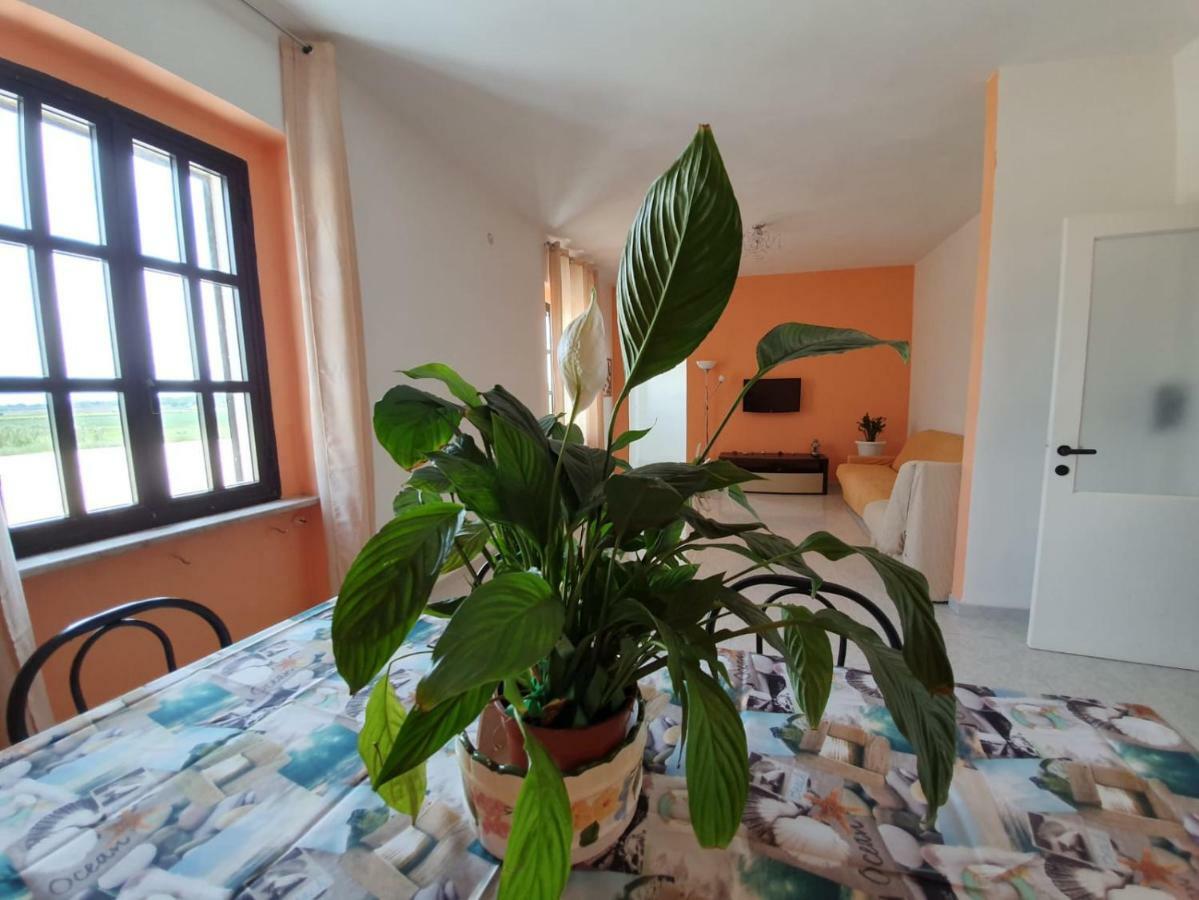 カンポマリーノ Il Casale Di Zi'Leo Bed & Breakfast エクステリア 写真